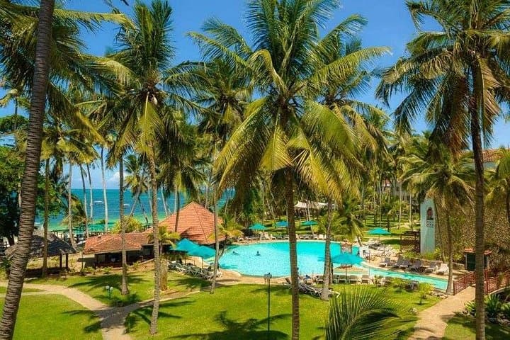 Full-Day Private Mombasa Tour: Fort Jesus, Old Town and Haller Park photo 3