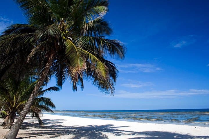 Full-Day Private Mombasa Tour: Fort Jesus, Old Town and Haller Park photo 4