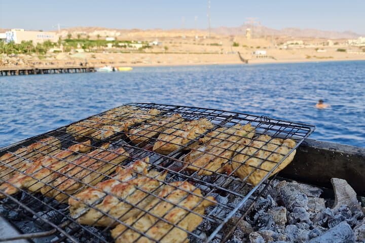 Aqaba Hammerhead Boat Dive and Snorkel — Red Sea Day Trip photo 4