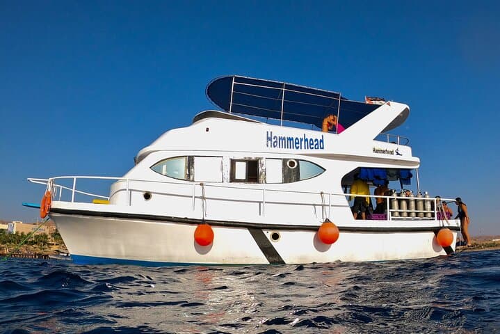 Aqaba Hammerhead Boat Dive and Snorkel — Red Sea Day Trip