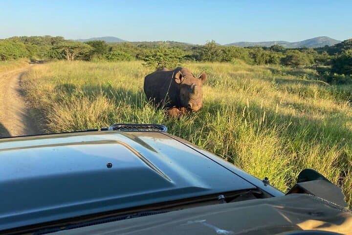 Big 5 Luxury Safari from Richards Bay to Manyoni Private Game Reserve photo 5