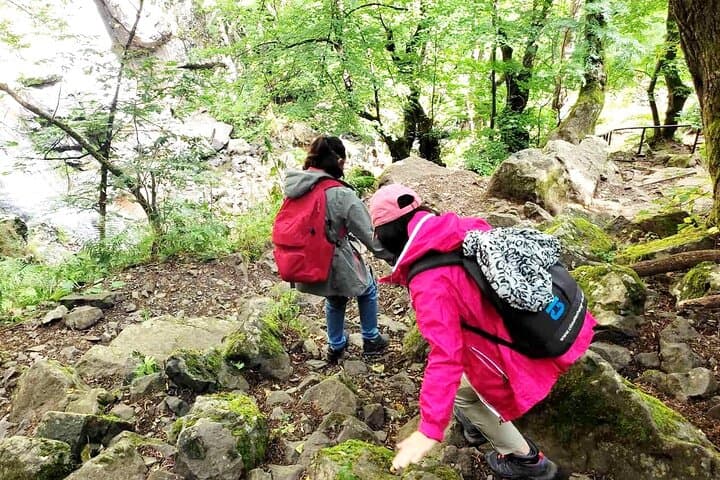 Day Hike to Boyana Waterfall and Vitosha's Wild Slopes from Sofia