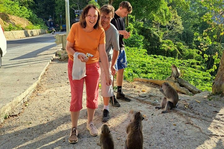 Benang Kelambu Waterfall & Pusuk Monkey Forest Day Tour — Lombok photo 2