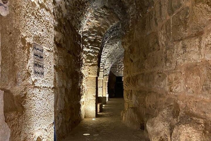 Amman to Jerash and Ajloun Castle: Full-Day Ancient Ruins & Valley Views