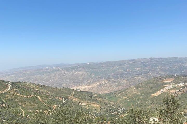 Amman to Jerash and Ajloun Castle: Full-Day Ancient Ruins & Valley Views photo 4