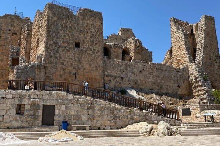 Amman to Jerash and Ajloun Castle: Full-Day Ancient Ruins & Valley Views photo 5