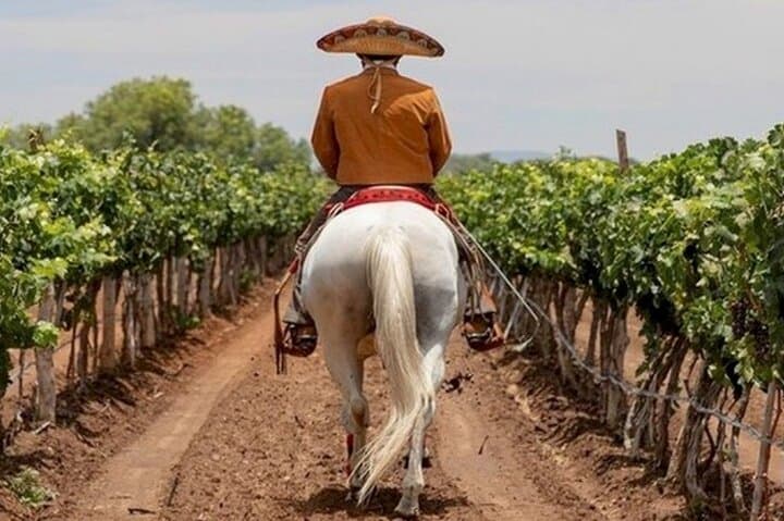 Horseback and Wine in Guanajuato: Ride the Vaquero Trails to a Mountain Winery