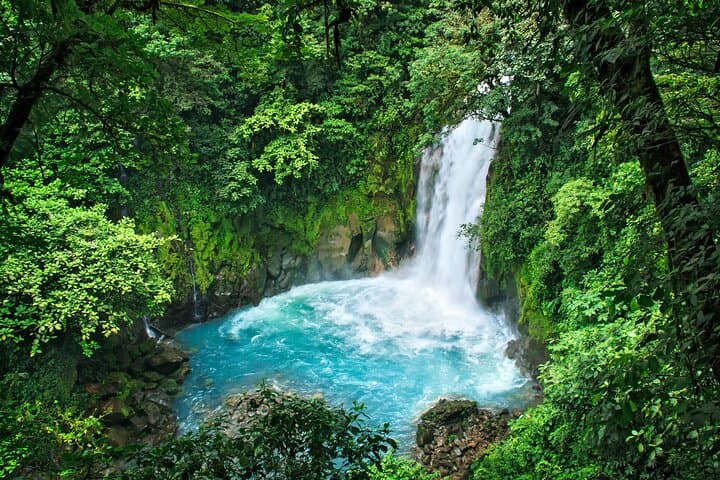 Hike Rio Celeste Waterfall & Tenorio Volcano: El Teñidero’s Turquoise River