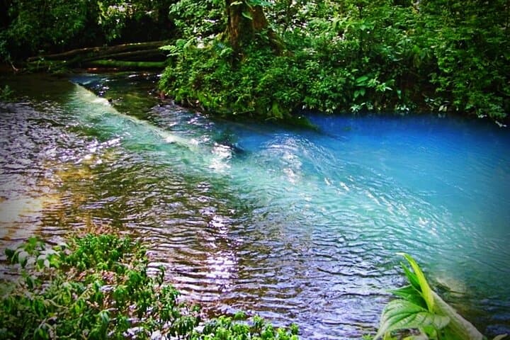 Hike Rio Celeste Waterfall & Tenorio Volcano: El Teñidero’s Turquoise River photo 6