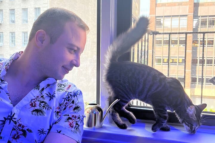 Terrarium Making with Cats in New York City — 2-Hour Workshop & Cat Café Experience photo 4