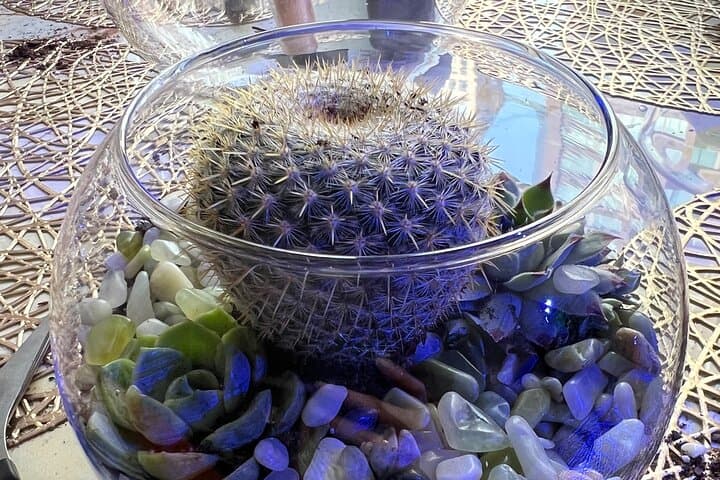 Terrarium Making with Cats in New York City — 2-Hour Workshop & Cat Café Experience photo 6