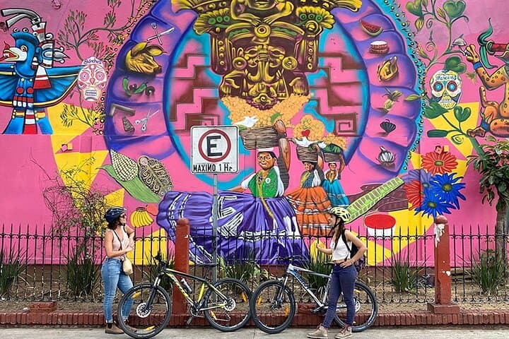 Oaxaca Street Art Bike Tour: Explore Murals, Workshops & Local Culture by Bike