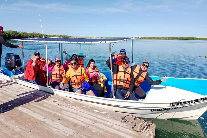 Magdalena Bay Gray Whale Watching From Los Cabos photo 3