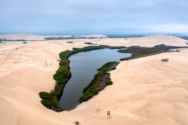 Coastal Peru Road Trip: 8-Day Lima to Nazca Cultural Immersion photo 2