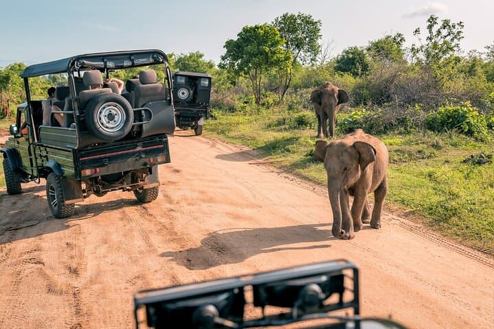12-Day Sri Lanka Private Round Tour: Driver-Led Highlights from Sigiriya to Galle