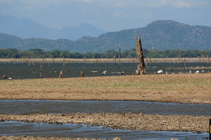 12-Day Sri Lanka Private Round Tour: Driver-Led Highlights from Sigiriya to Galle photo 6