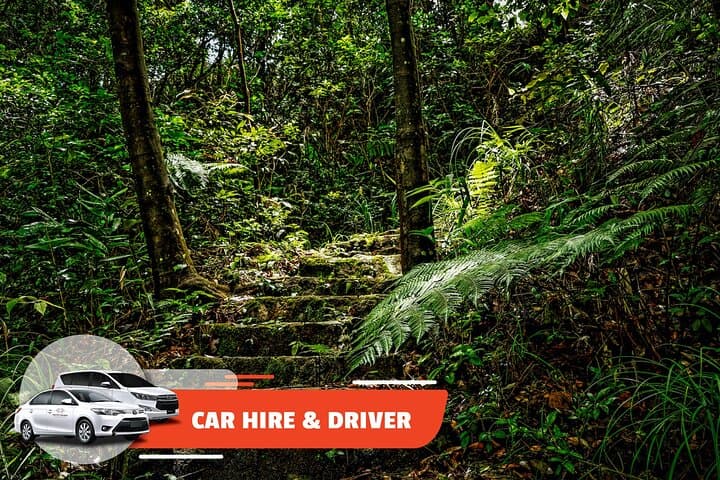 Full-Day Chauffeur to Bach Ma National Park and Lang Co Beach from Hoi An