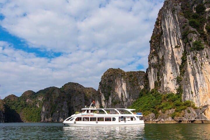 Ha Long Bay Day Cruise: Titov Island, Sung Sot Cave & Luon Cave Kayaking photo 3