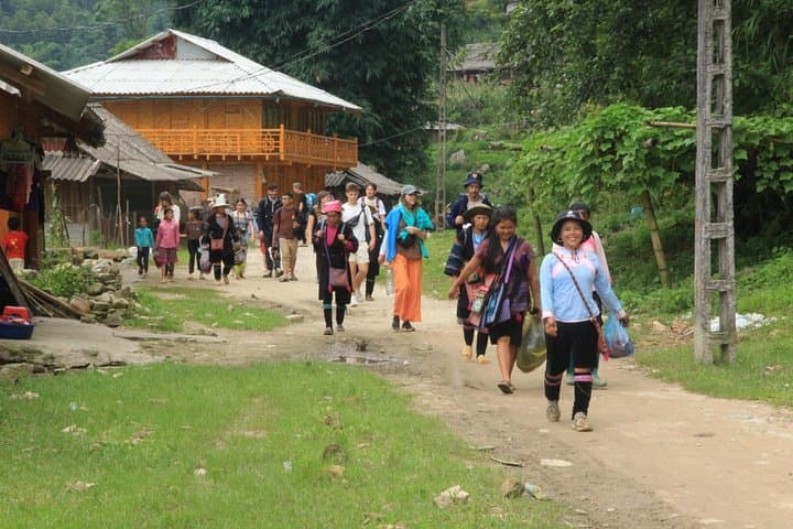 Full-Day Sapa Trekking in Muong Hoa Valley with Local H'mong Guide photo 4