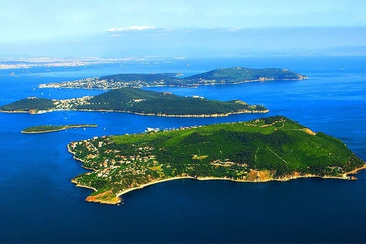 Full-Day Büyükada (Princes' Islands) Tour from Istanbul with Lunch