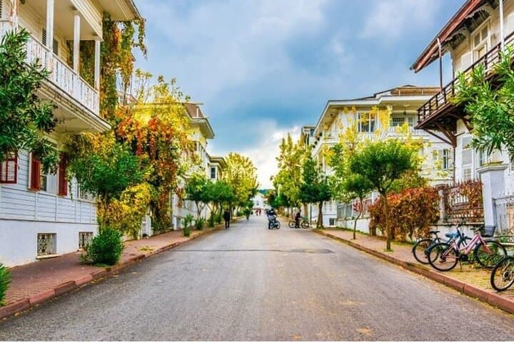 Full-Day Büyükada (Princes' Islands) Tour from Istanbul with Lunch photo 3
