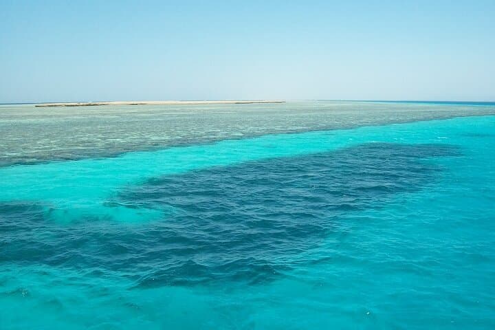 Marsa Mubarak Snorkeling: Swim with Turtles, Dolphins & Red Sea Reefs photo 5