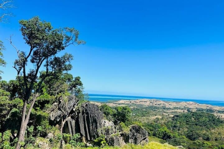 Fiji's Largest Zipline and Limestone Cave Tour from Nadi: 16 Lines, Ocean Views & Vesi Forests photo 3