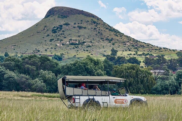 Inside Lionsrock Sanctuary: Guided Big Cat Tour Near Bethlehem