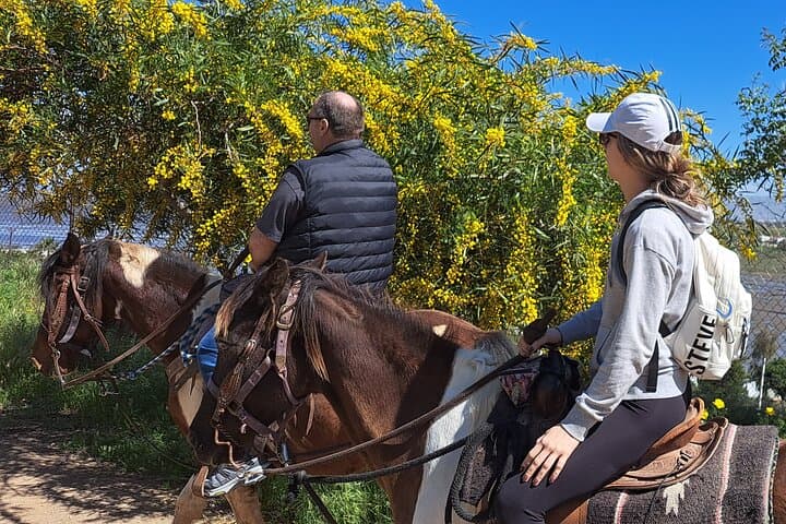 Desert Trails Combo Ride: Horseback from Hills to Beach near Ensenada photo 3