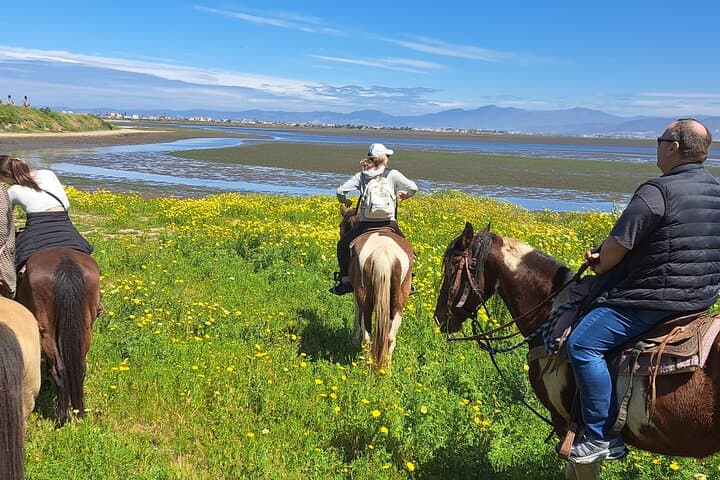 Desert Trails Combo Ride: Horseback from Hills to Beach near Ensenada photo 5