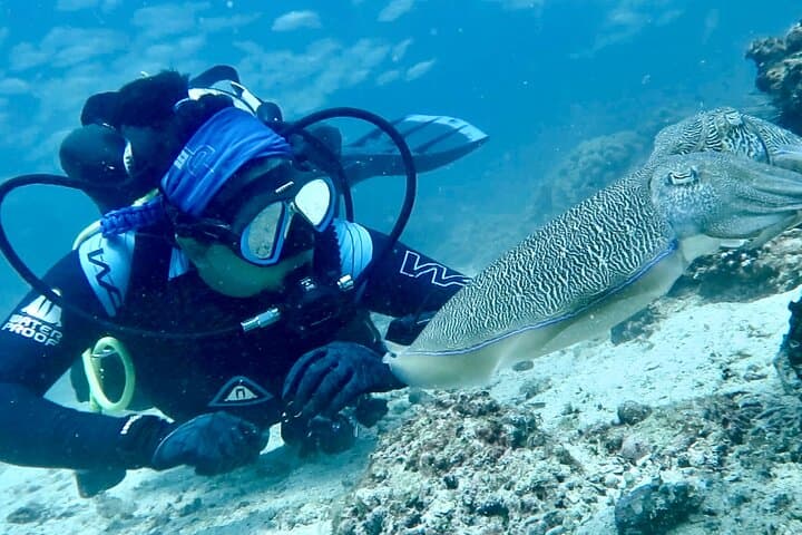 From Dubai to Khorfakkan: Two Dives & Discover Scuba on the UAE East Coast