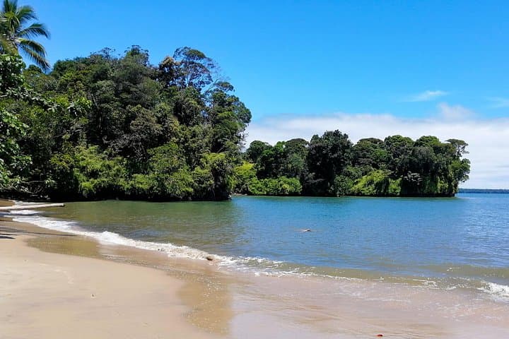 Bahía Málaga Humpback Whale Watching: 2-Day Pacific Wildlife & Jungle Beaches photo 3