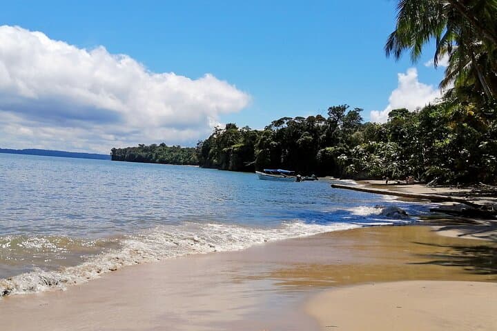 Bahía Málaga Humpback Whale Watching: 2-Day Pacific Wildlife & Jungle Beaches
