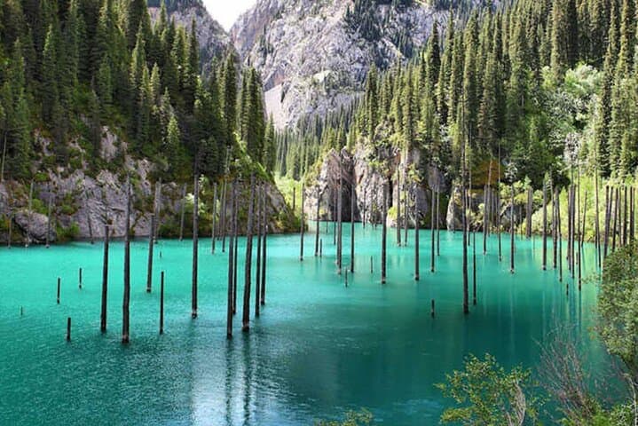Kaindy and Kolsay Lake Tour: Sunken Forests & Alpine Lakes from Almaty photo 3