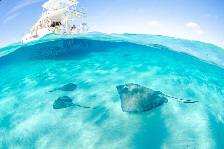 Stingray City & Cayman Reefs: 3-Stop Snorkel Adventure from Grand Cayman photo 2
