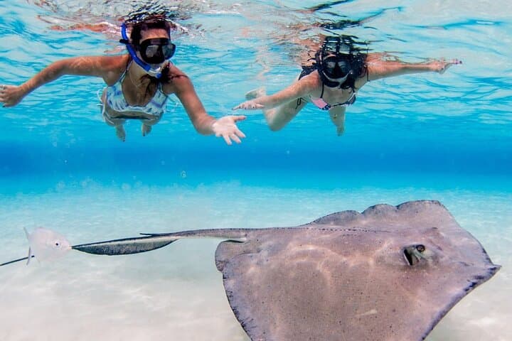 Stingray City & Cayman Reefs: 3-Stop Snorkel Adventure from Grand Cayman