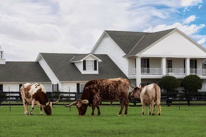 Southfork Ranch Private Limousine Tour from Dallas — Ride in a Luxury Limousine to the Ewing Estate photo 6