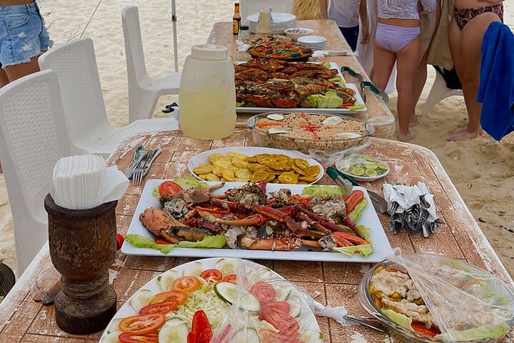 Bahía de las Águilas Day Trip: Private Flight & Snorkel from Punta Cana