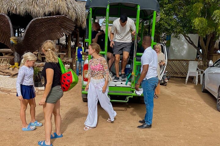 Bahía de las Águilas Day Trip: Private Flight & Snorkel from Punta Cana photo 6