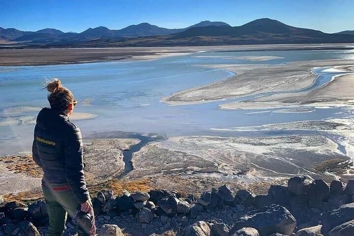 High-Altitude Expedition: Salar de Tara, Pujsa & La Pacana Day Tour photo 2