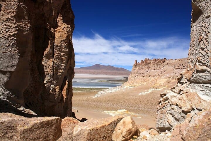 High-Altitude Expedition: Salar de Tara, Pujsa & La Pacana Day Tour photo 4