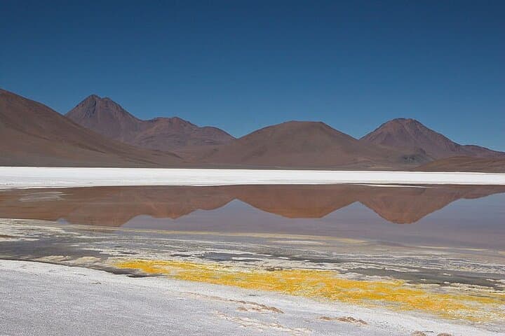 High-Altitude Expedition: Salar de Tara, Pujsa & La Pacana Day Tour photo 5