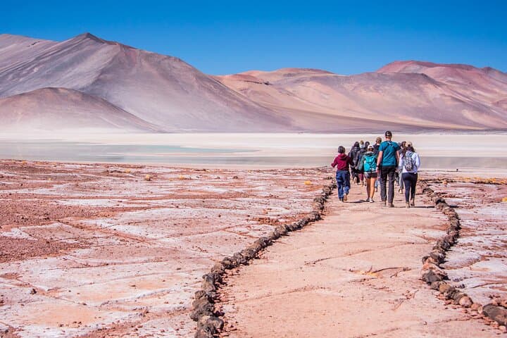 Altiplanic Lagoons & Salar de Atacama: High‑Altitude Lagoons, Red Stones and Villages photo 1