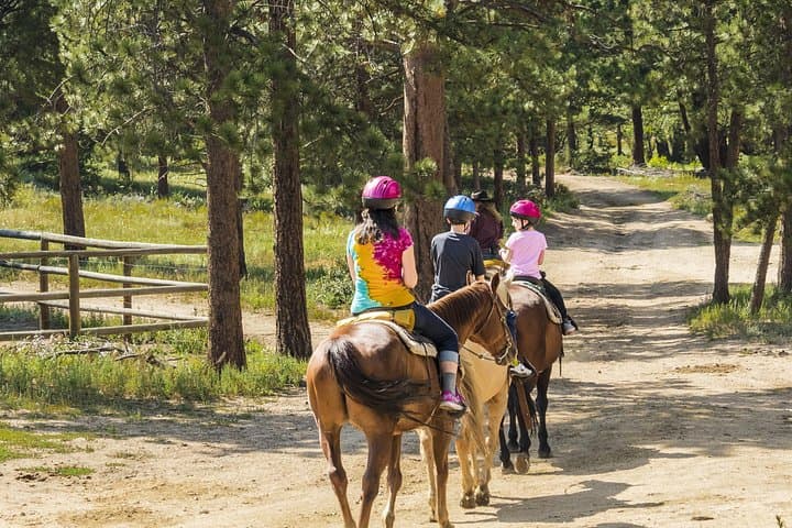 Marmaris Horse Riding Safari: Half-Day Coastal and Mountain Ride photo 2