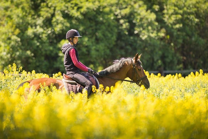 Marmaris Horse Riding Safari: Half-Day Coastal and Mountain Ride photo 3
