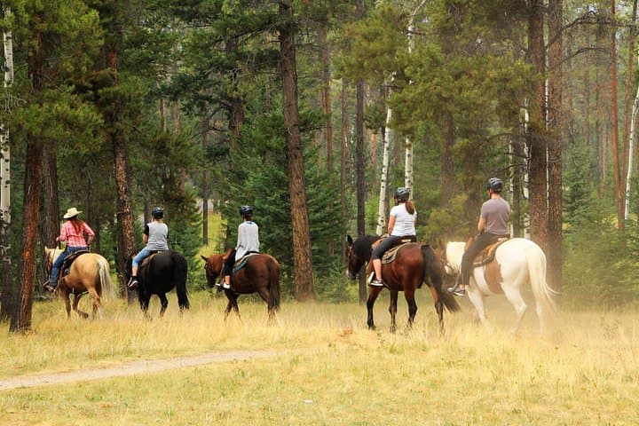 Marmaris Horse Riding Safari: Half-Day Coastal and Mountain Ride photo 4