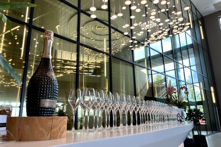 Champagne and Reims Day Trip from Paris — Épernay Cellars, Vineyard Views & Reims Cathedral photo 3
