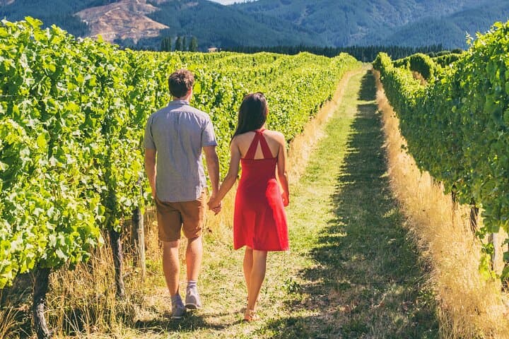 Napa & Sonoma Wine Tour from San Francisco: Full-Day Tastings and Scenic Valley Drives photo 3
