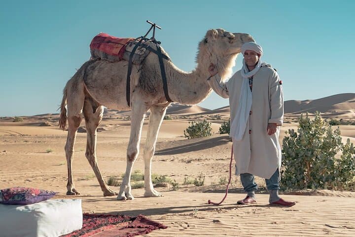 Overnight Camel Trek to Merzouga Luxury Camp — Erg Chebbi Desert Experience photo 2