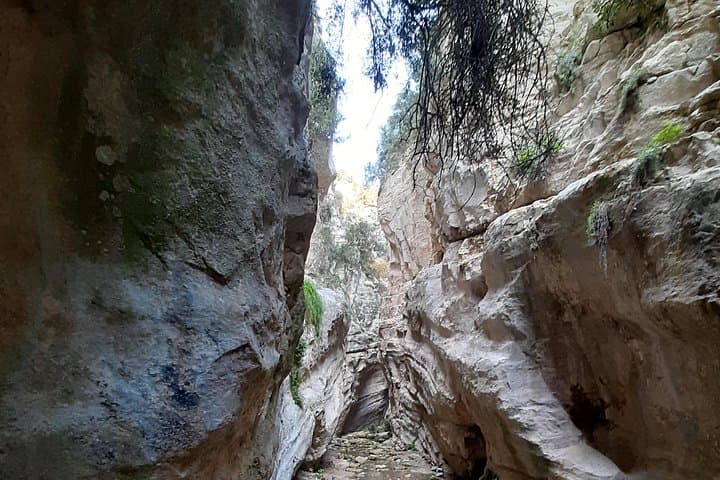 Stelios Jeep Safari: Akamas Peninsula 4x4 Adventure & Blue Lagoon Swim photo 2